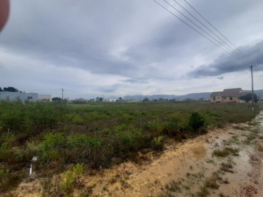 0 Bedroom Property for Sale in Fisherhaven Western Cape
